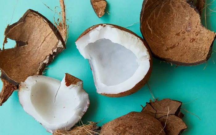 Coconut