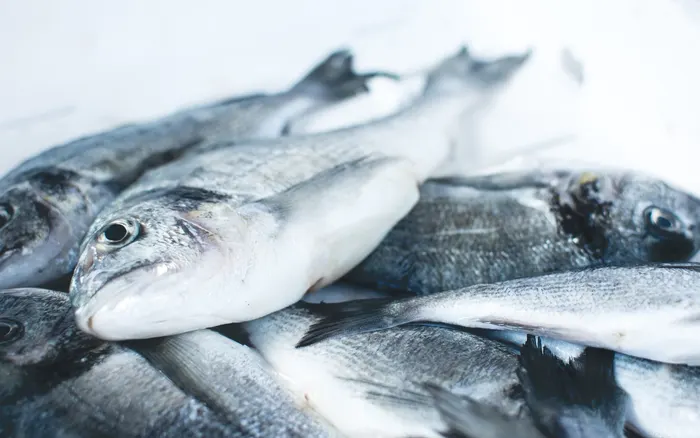Fish