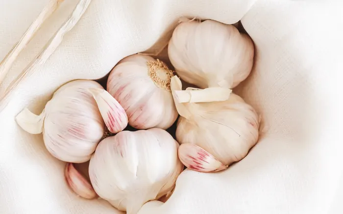 Garlic
